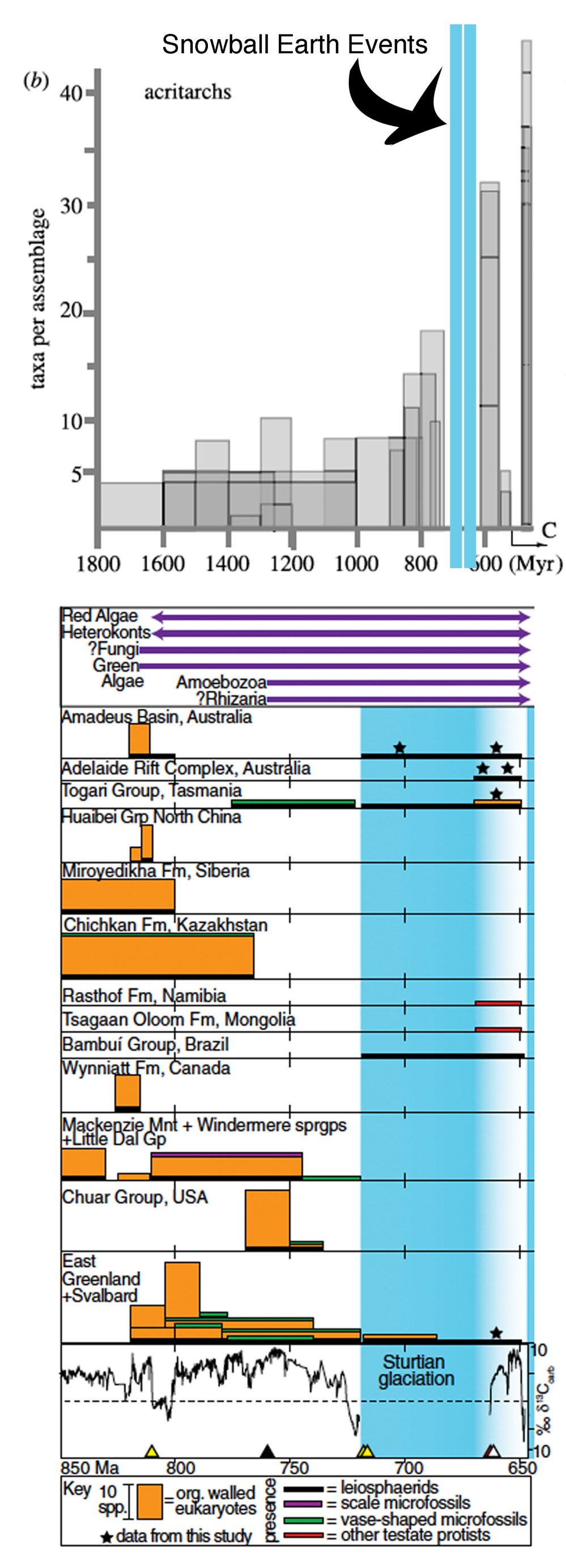 fig-11-diversity-in-prot